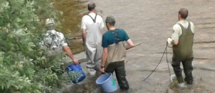 Al rescate de la fauna pisccola del Hjar