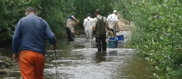 Al rescate de la fauna pisccola del Hjar