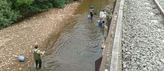 Al rescate de la fauna pisccola del Hjar