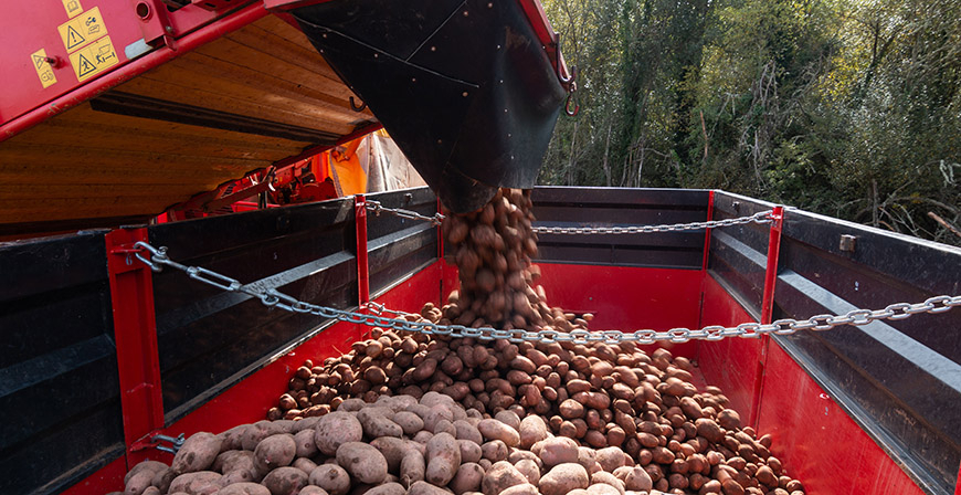 El alcalde de Valderredible solicita al Gobierno regional ayudas econmicas para los productores de patatas afectados por las inundaciones