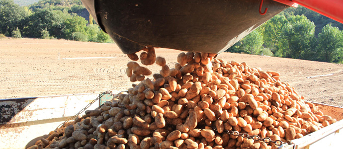 Alimentacin convoca las ayudas para la produccin de patata de Valderredible certificada