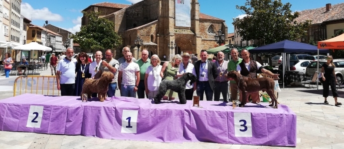 Cerca de un centenar de perros de 30 razas diferentes participaron en el III Concurso Canino 'Villa de Aguilar'