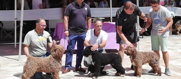 Cerca de un centenar de perros de 30 razas diferentes participaron en el III Concurso Canino 'Villa de Aguilar'