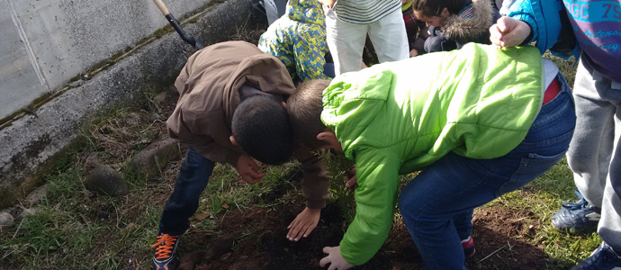 Los alumnos del CEIP Casimiro Sainz celebran el Da del rbol