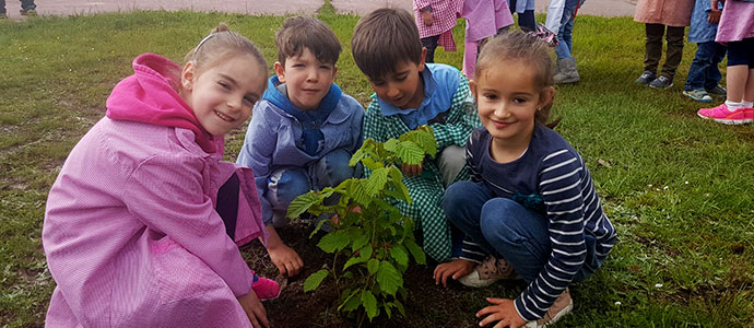 Los alumnos del Colegio Rodrguez de Celis de Paracuelles plantan varios rboles