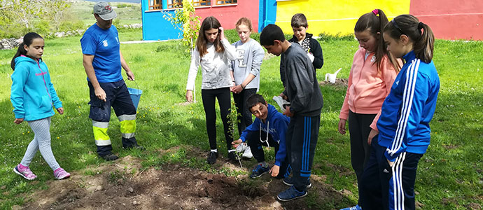Los alumnos del Colegio Rodrguez de Celis de Paracuelles plantan varios rboles
