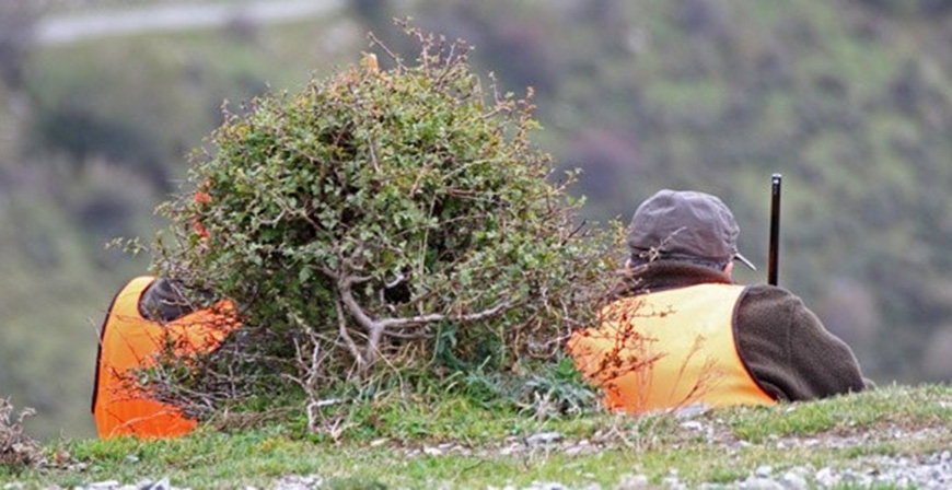Aprobado el Plan de Caza de la Reserva Regional de Saja para la prxima temporada