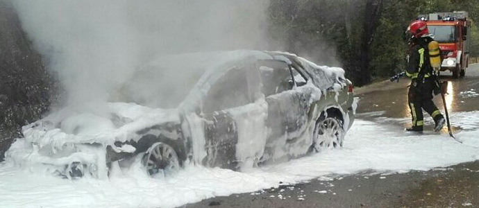 Arde un vehculo en Anievas