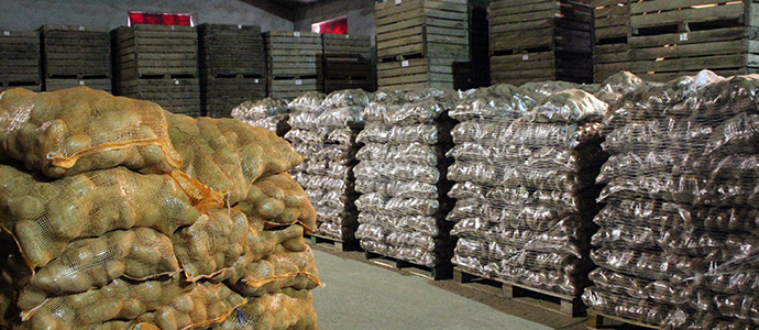 Ayudas para la compra de semilla certificada para la produccin de patata en Valderredible 