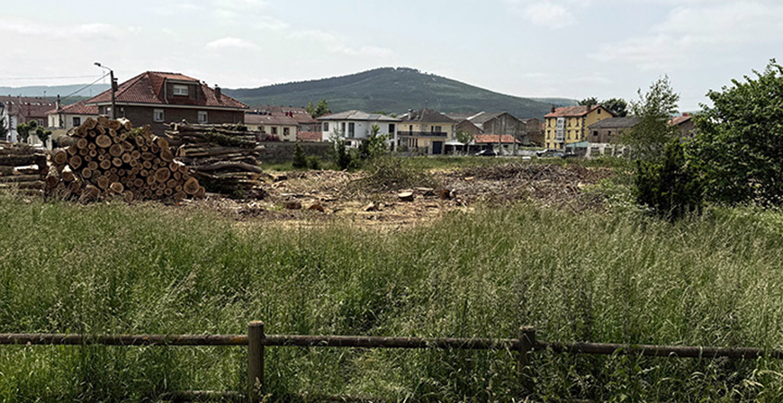 El Ayuntamiento asegura que la tala de rboles en el Pozo Pozmeo es una cuestin de 