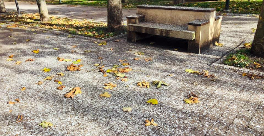 El Ayuntamiento intentar disuadir a los estorninos de Cupido con seales acsticas y visuales