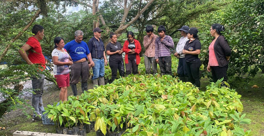 El Ayuntamiento de Reinosa y la Fundaci�n Pacaso & Pacaso lanzan un programa de voluntariado en Ecuador