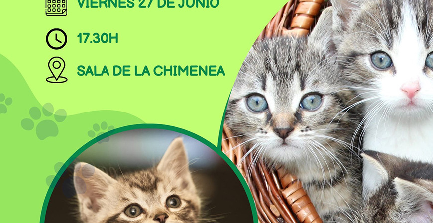El Ayuntamiento de Reinosa organiza una charla sobre el mtodo CER en colonias felinas urbanas