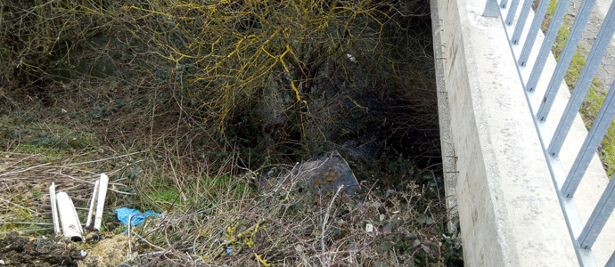 Basura en la orilla del ro Izarilla