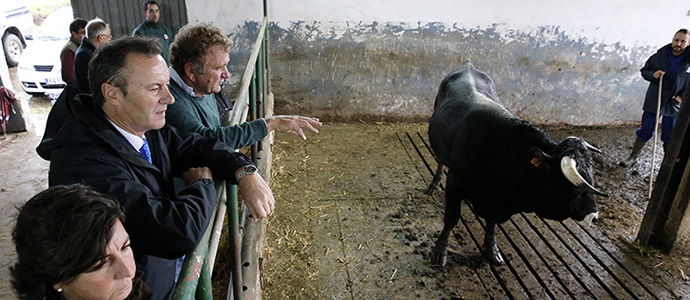 Blanco aboga por la preservacin de las razas tudanca y monchina por ser 