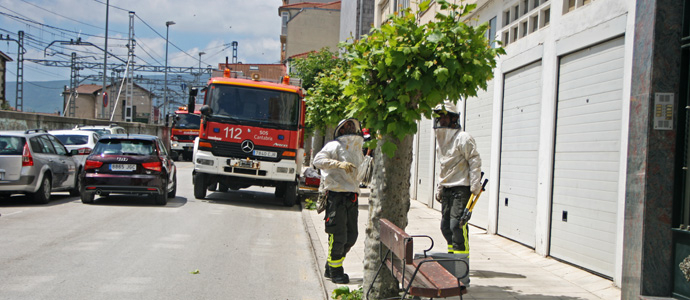 Los bomberos del 112 retiran un enjambre de abejas de la calle Duque y Merino