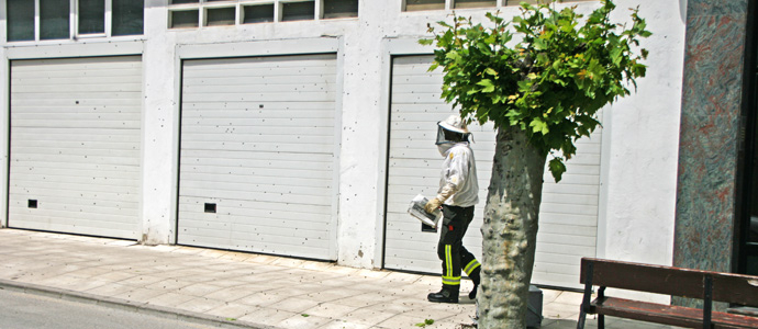 Los bomberos del 112 retiran un enjambre de abejas de la calle Duque y Merino