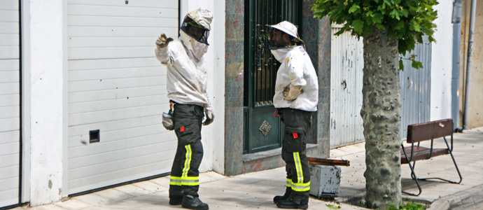 Los bomberos del 112 retiran un enjambre de abejas de la calle Duque y Merino