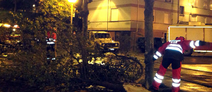 Bomberos del 112 retiran una rama que cortaba la circulacin en Reinosa