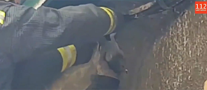 Los bomberos liberan a una paloma atrapada en el cableado elctrico de un edificio de Reinosa