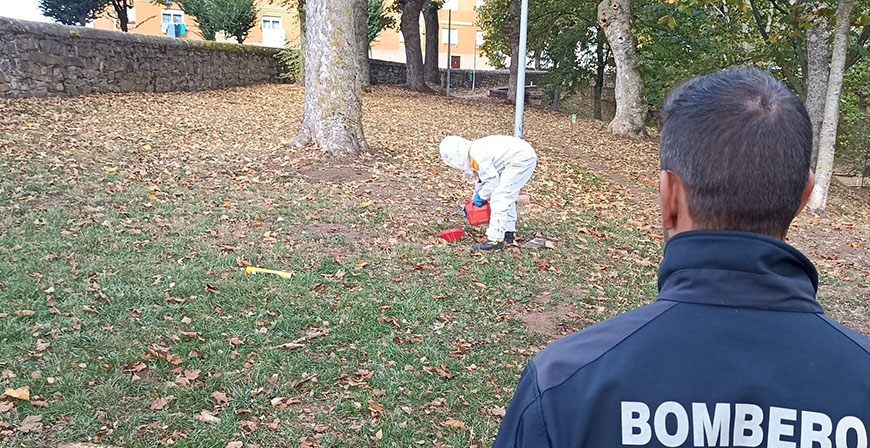 Los bomberos retiran un nido de avispa en el Parque de Las Fuentes de Reinosa
