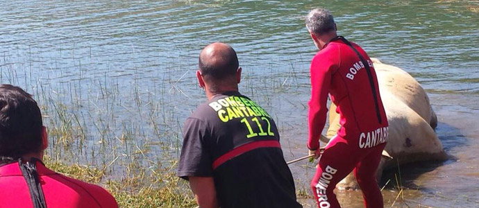 Los bomberos sacan del Pantano del Ebro el cuerpo de una vaca de 650 kilos