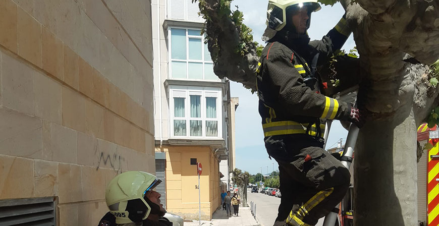Los bomberos sofocan un fuego en un rbol de Reinosa