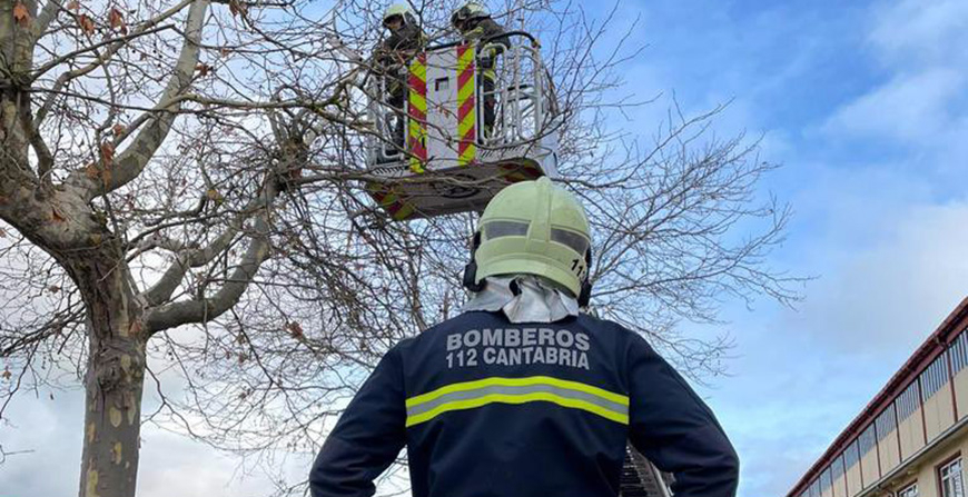 Los bomberos vuelven a retirar ramas con riesgo de cada en el paseo Alejandro Calonge y Sorribero