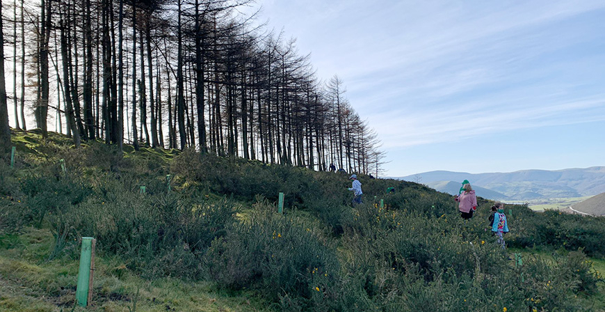 Los bosques de Aguayo acogieron una plantacin de arbolado autctono