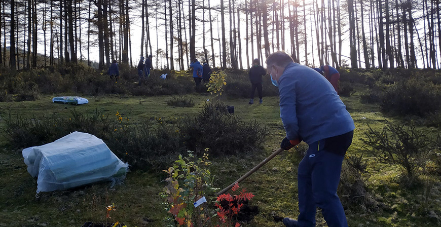 Los bosques de Aguayo acogieron una plantacin de arbolado autctono
