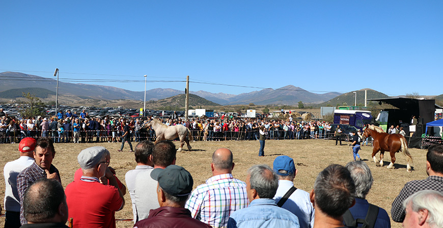 Un buen da de Feria