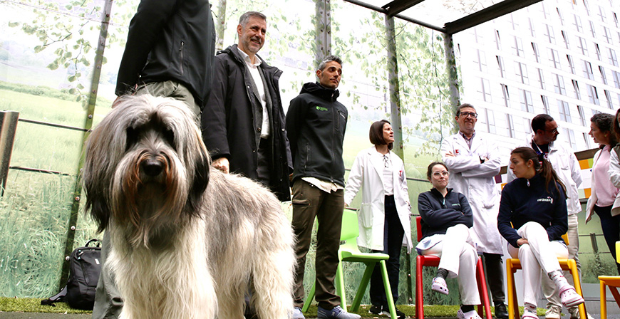 Cabrceno acerca la naturaleza a los pacientes peditricos de Valdecilla con la visita de Cira, una perra con un instinto muy sensible ante la enfermedad