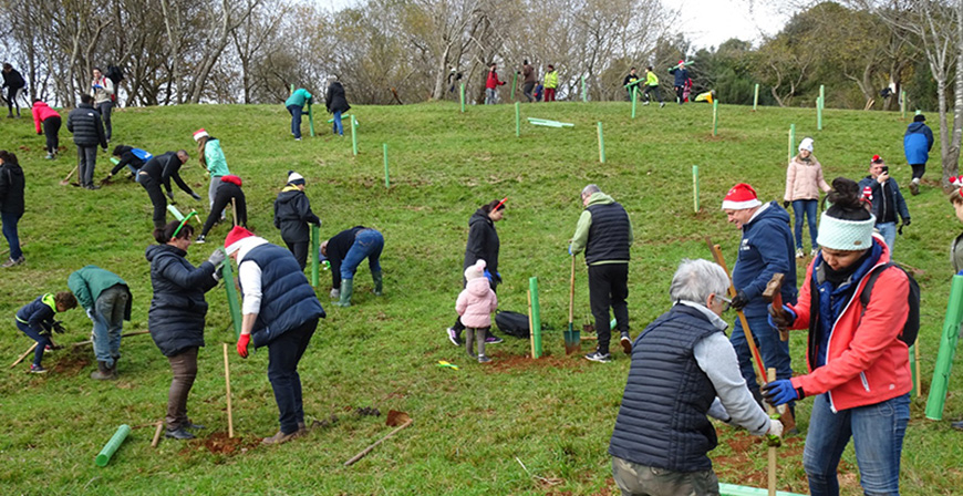 Cabrceno acoger cuatro jornadas de plantacin de rboles autctonos