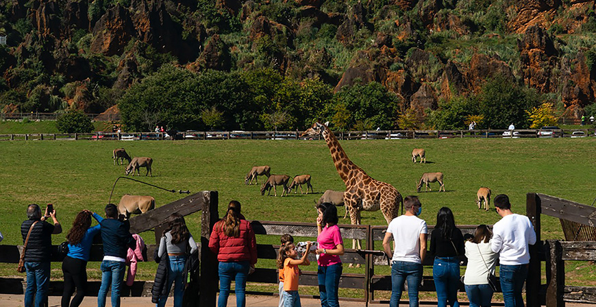 Cabrceno bate su rcord con 529.000 visitantes hasta el 31 de agosto  