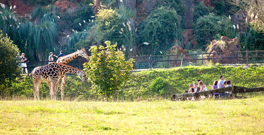 Cab�rceno entra en la Asociaci�n Mundial de Zoos y Acuarios