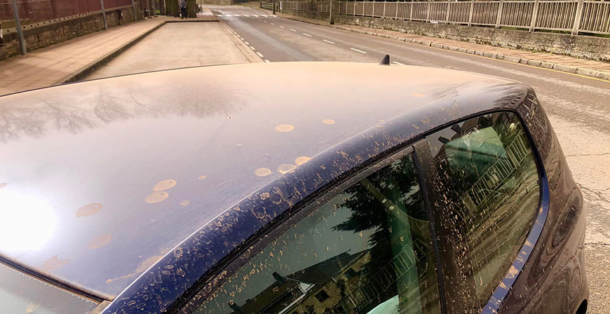 La calidad del aire en Cantabria se ver afectada durante los prximos das por la llegada de polvo sahariano 