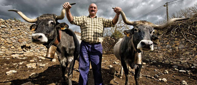 'Campoo Devanado' llega a Madrid 