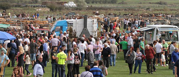 Campoo de Enmedio celebra este domingo en Requejo su XXVII Feria de Ao
