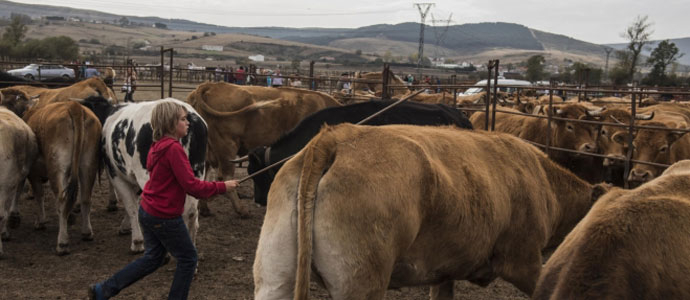 Campoo de Enmedio celebrar su XXX Feria de Ao el 21 de octubre