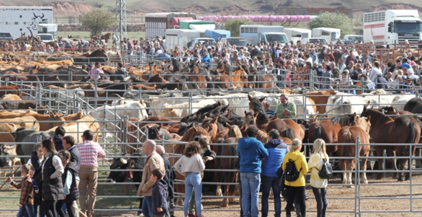Campoo de Enmedio ultima su XXXIV Feria de Ao