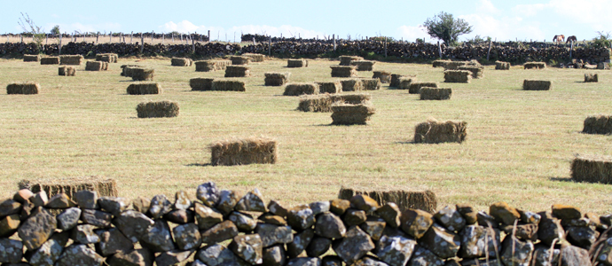 Campoo registra las temperaturas mximas de Cantabria