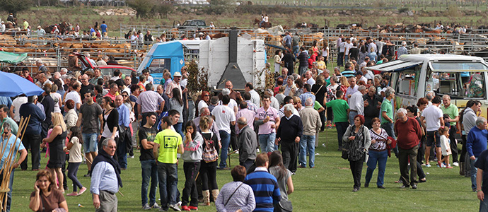 Campoo ya tiene su calendario de ferias, concursos y exposiciones ganaderas