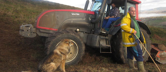 Campoo de Yuso convoca un nuevo plan de desbroces