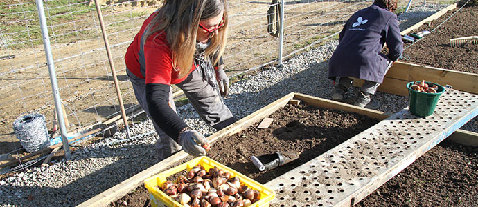 Campoo de Yuso crea la primera microrreserva para cultivos autctonos del sur de Cantabria 