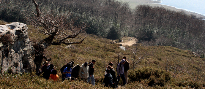 Campoo de Yuso emplear a siete personas en un proyecto novedoso de gestin de bosques