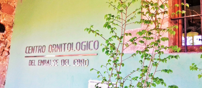 Campoo de Yuso plantar en La Poblacin los primeros olmos resistentes a la grafiosis