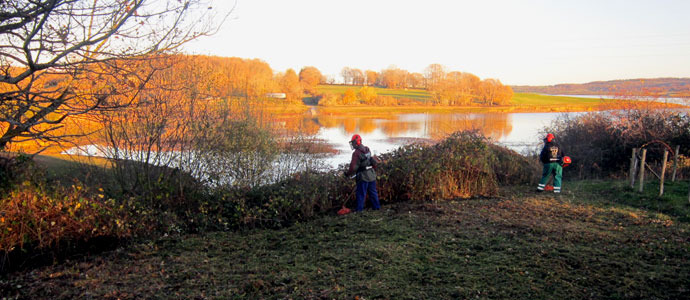 Campoo de Yuso recupera sus eriales y baldos