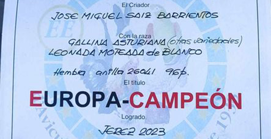 El campurriano Jos Miguel Saiz gana el Europeo con su gallina pinta asturiana de la variedad roxa