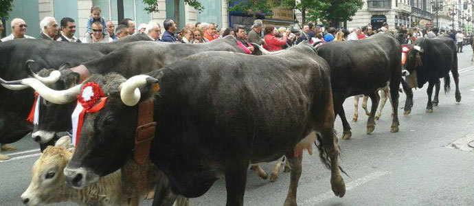 Los campurrianos, protagonistas en la 'pas' de Santander
