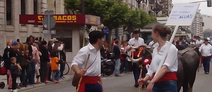 Los campurrianos, protagonistas en la 'pas' de Santander